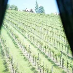 Weingut Buschenschank Schneiderannerl