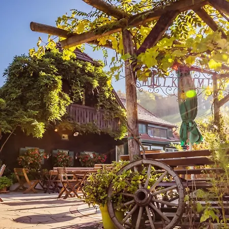 Weingut Buschenschank Schneiderannerl Bed & Breakfast 3*
