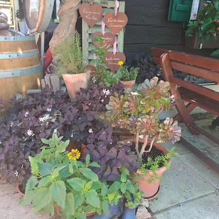 Oda ve Kahvaltı Weingut Buschenschank Schneiderannerl Gleinstätten