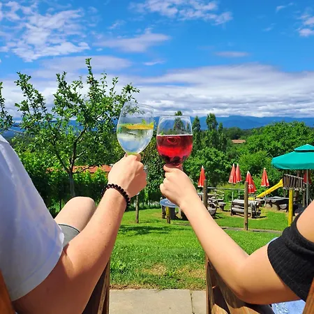 Weingut Buschenschank Schneiderannerl Bed & Breakfast 3*