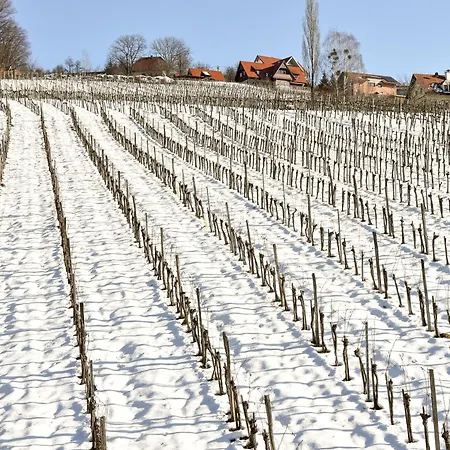 Weingut Buschenschank Schneiderannerl 3*