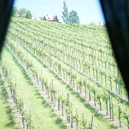 Weingut Buschenschank Schneiderannerl