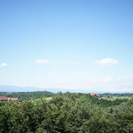 Bed & Breakfast Weingut Buschenschank Schneiderannerl