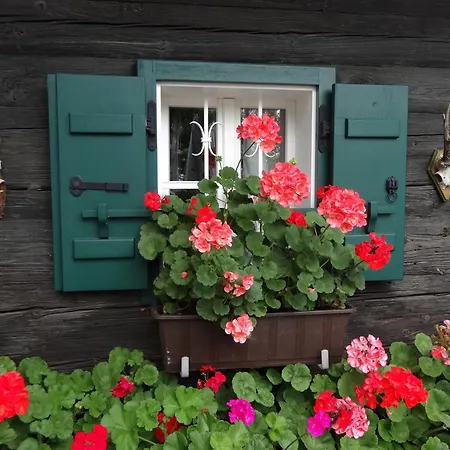 فندق مبيت وإفطار Weingut Buschenschank Schneiderannerl 3*