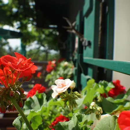Bed & Breakfast Weingut Buschenschank Schneiderannerl