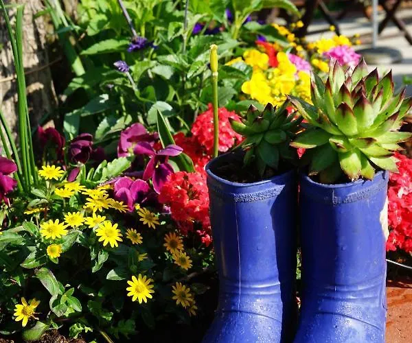 فندق مبيت وإفطار Weingut Buschenschank Schneiderannerl 3*