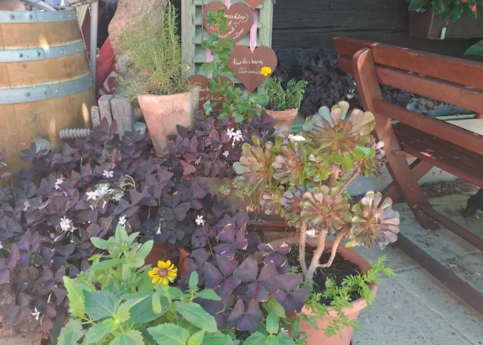 فندق مبيت وإفطار Weingut Buschenschank Schneiderannerl Gleinstätten