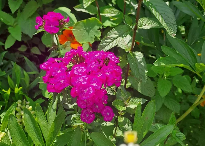 Weingut Buschenschank Schneiderannerl 3* Gleinstätten