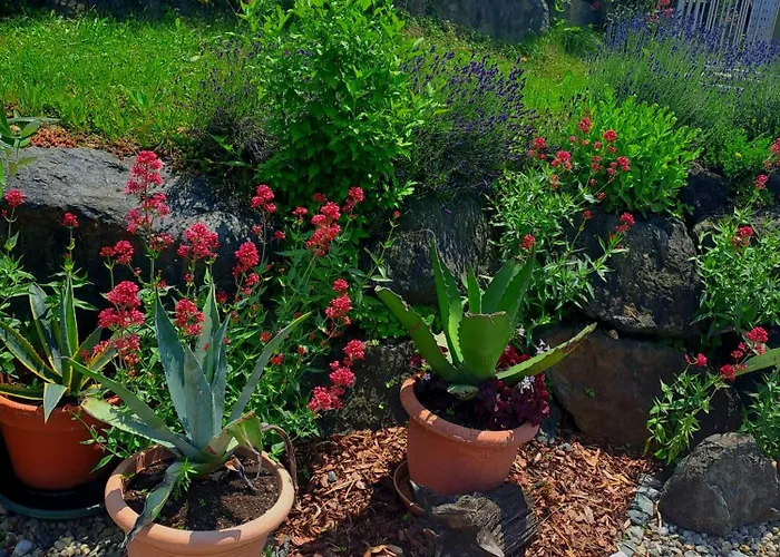 Weingut Buschenschank Schneiderannerl 3* Gleinstätten