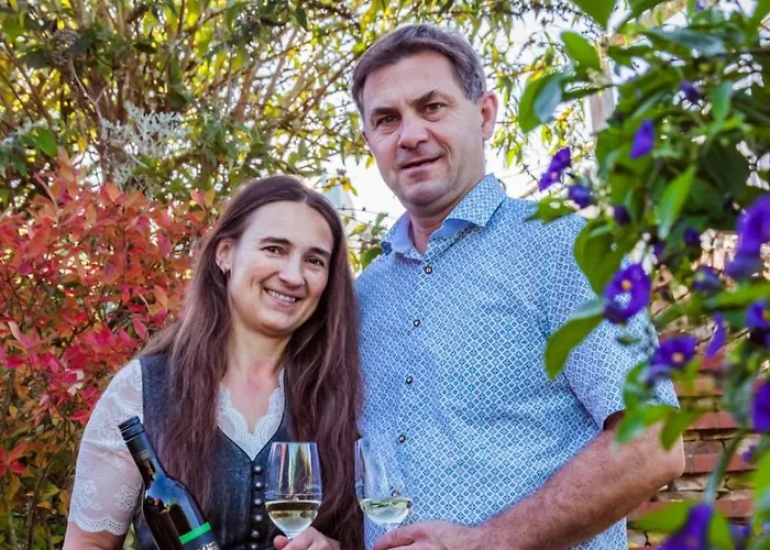 فندق مبيت وإفطار Weingut Buschenschank Schneiderannerl 3*