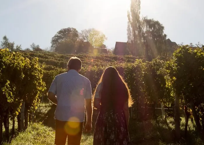 Weingut Buschenschank Schneiderannerl فندق مبيت وإفطار Gleinstätten