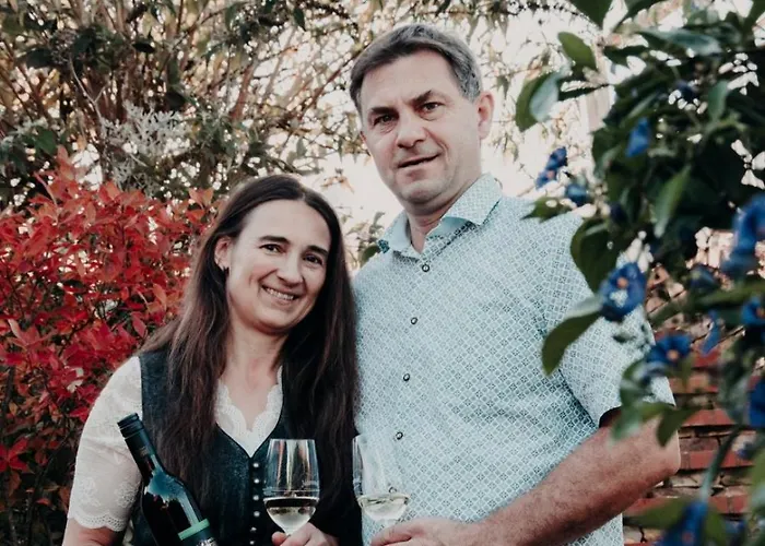 فندق مبيت وإفطار Weingut Buschenschank Schneiderannerl 3*