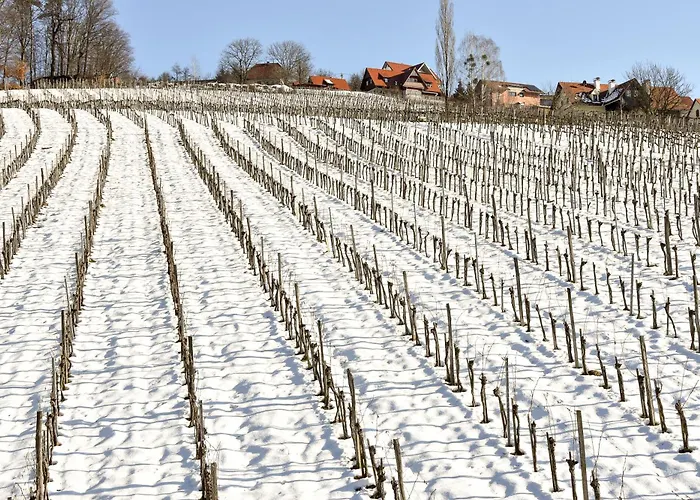 Weingut Buschenschank Schneiderannerl 3*
