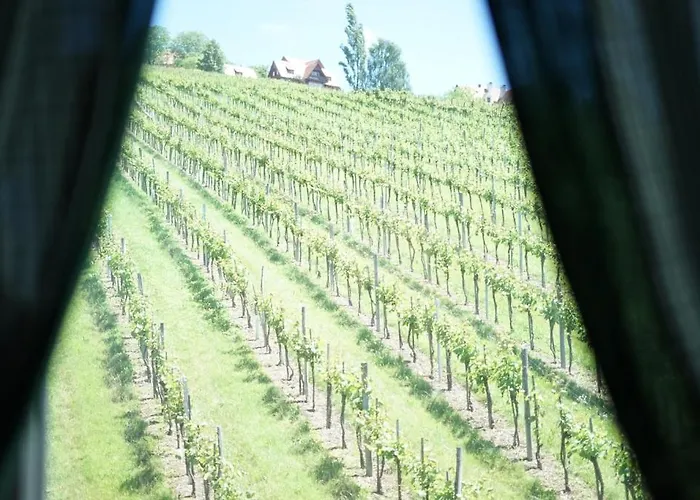 Weingut Buschenschank Schneiderannerl
