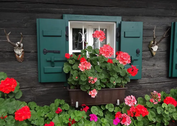 فندق مبيت وإفطار Weingut Buschenschank Schneiderannerl 3*