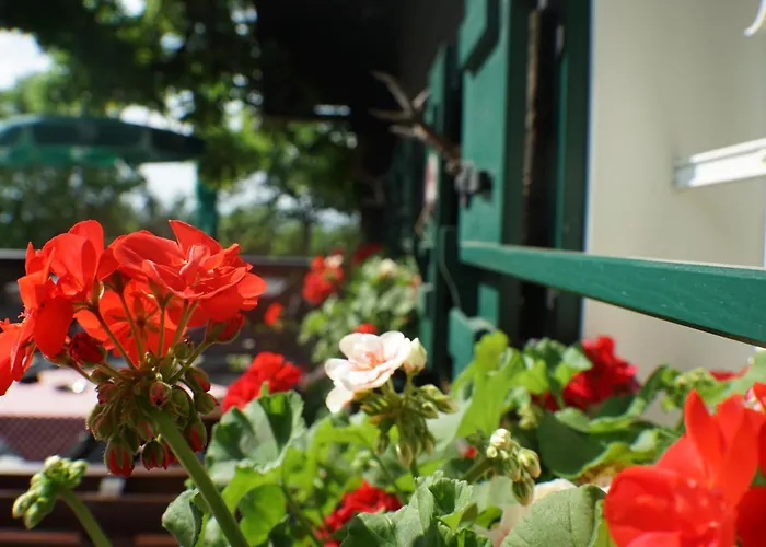 فندق مبيت وإفطار Weingut Buschenschank Schneiderannerl